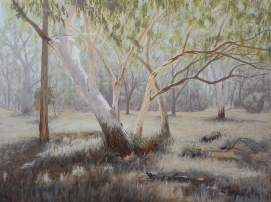 Magpies 76x101cm $1000